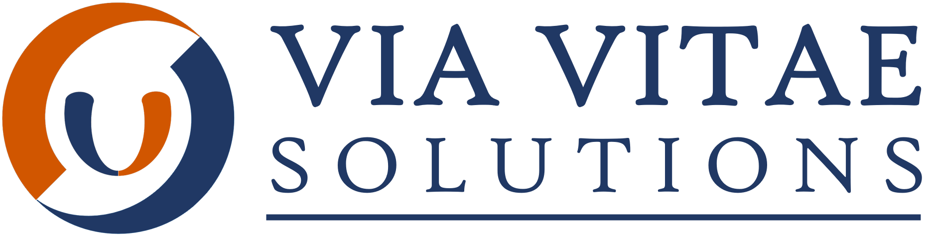 VVS Logo